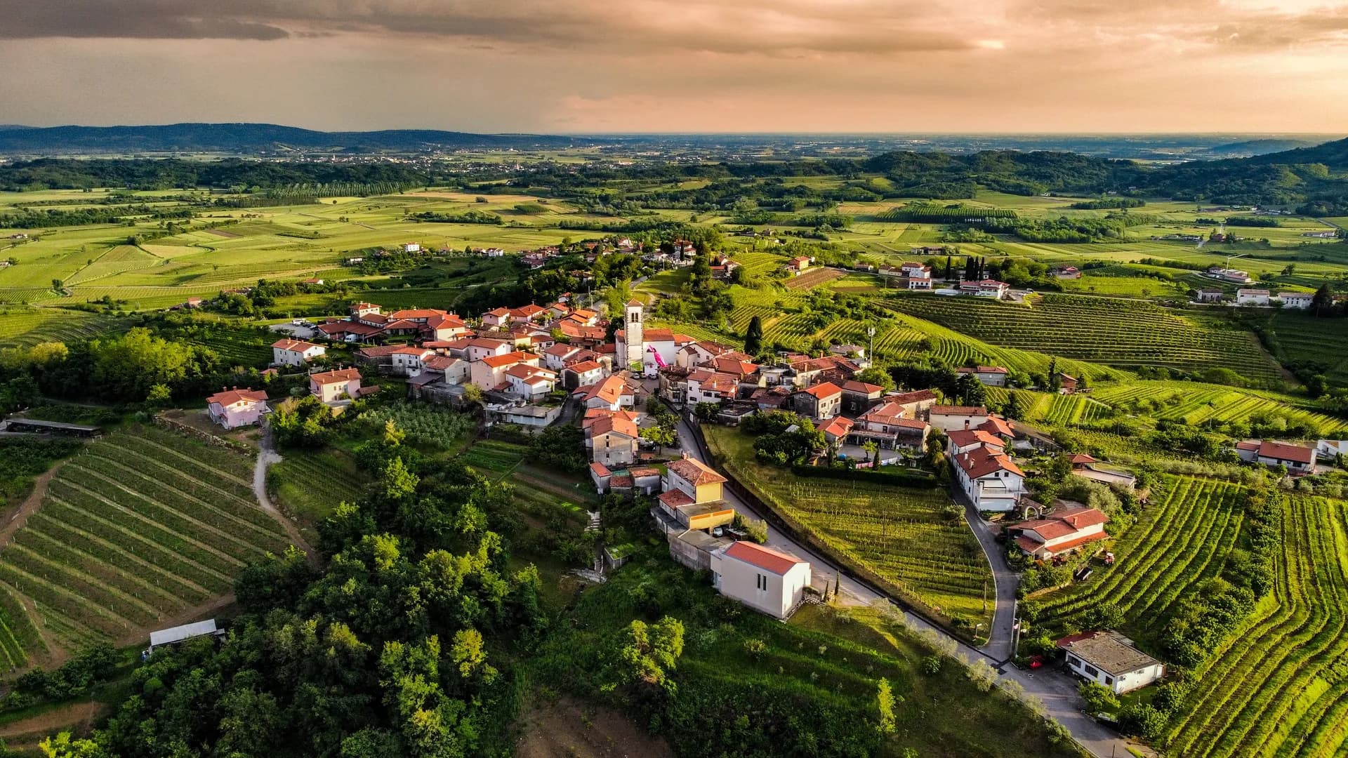 SLOVENIA THROUGH THE ART OF FLAVOR